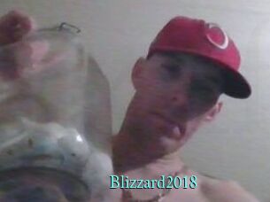 Blizzard2018