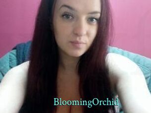 BloomingOrchid xxx Fantasy Land