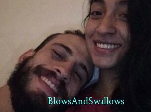 BlowsAndSwallows