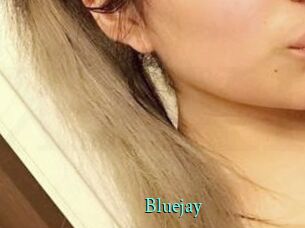 Blue_jay