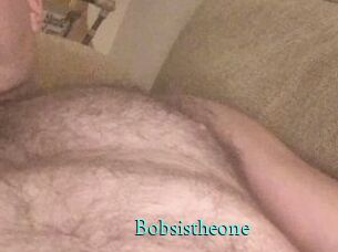 Bobsistheone