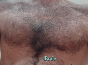 Bode