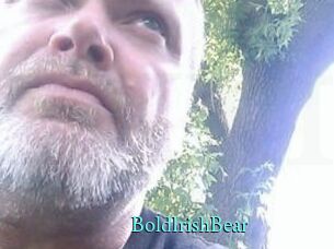 BoldIrishBear