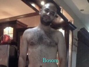 Bosom