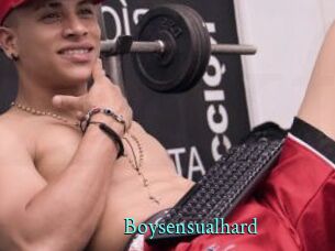 Boysensualhard