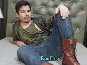 BradLee xxx Fantasy Land