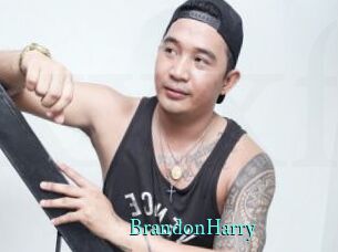 BrandonHarry xxx Fantasy Land