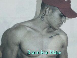 Branndom_Blake xxx Fantasy Land