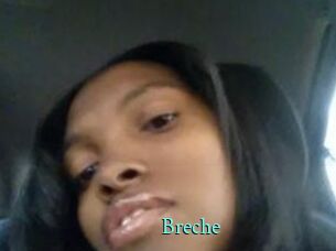 Breche