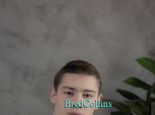 BredCollins xxx Fantasy Land