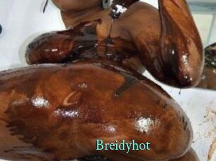 Breidyhot