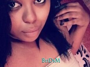 BriDsM