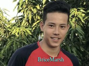 BriceMarsh xxx Fantasy Land