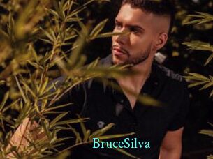 BruceSilva