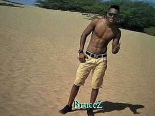 BruceZ