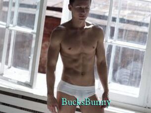 BucksBunny