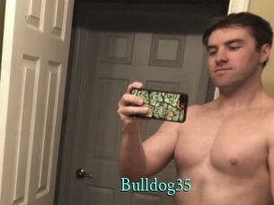 Bulldog35 xxx Fantasy Land