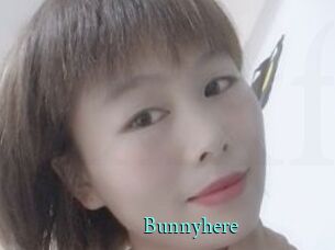 Bunnyhere