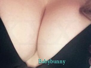 Baby_bunny