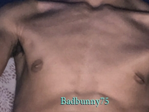 Badbunny75