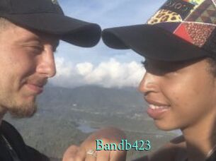 Bandb423