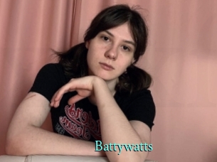 Battywatts