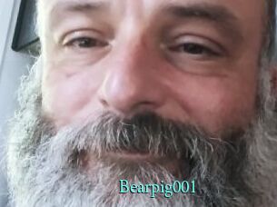 Bearpig001