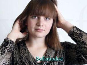 bellamodest xxx Fantasy Land