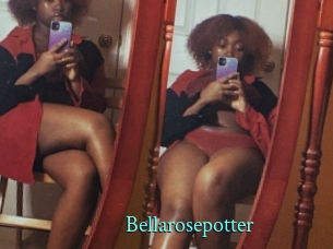 Bellarosepotter
