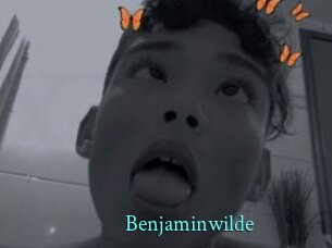 benjaminwilde xxx Fantasy Land