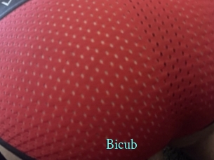 Bicub