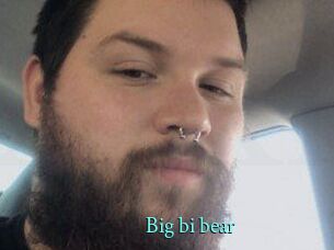 Big_bi_bear