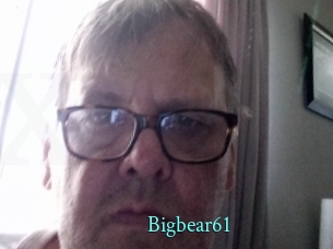 Bigbear61