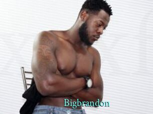 bigbrandon xxx Fantasy Land