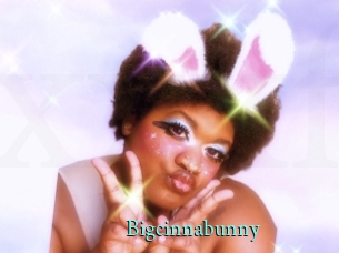 Bigcinnabunny