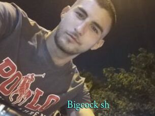 Bigcock_sh