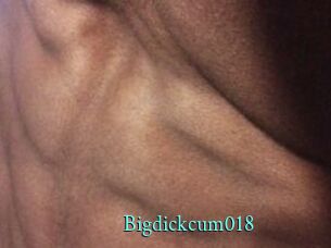 Bigdickcum018