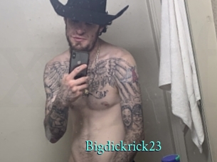 Bigdickrick23