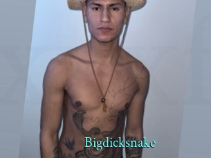 bigdicksnake xxx Fantasy Land