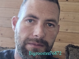 Bigrooster76872