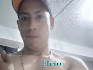 Billpalma