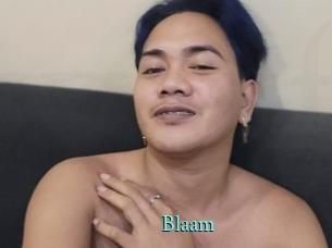 Blaam