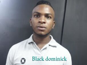 Black_dominick