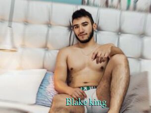 blake_king xxx Fantasy Land