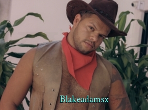 blakeadamsx xxx Fantasy Land