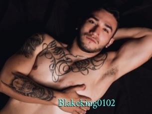 Blakeking0102