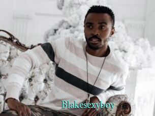 Blakesexyboy