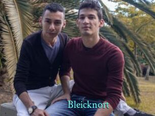 Bleicknort