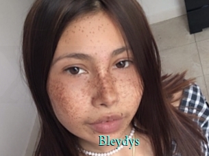 Bleydys