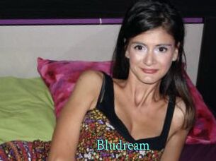 Bludream